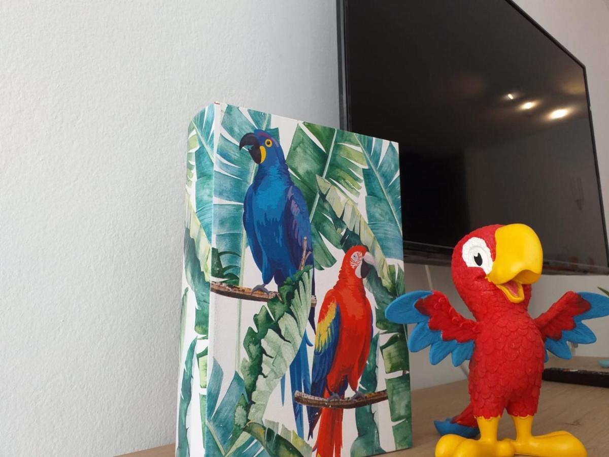 Apartament Tropical Loft Corralejo Zewnętrze zdjęcie