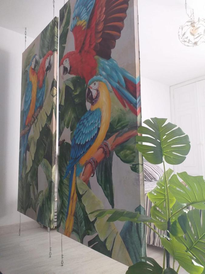 Apartament Tropical Loft Corralejo Zewnętrze zdjęcie